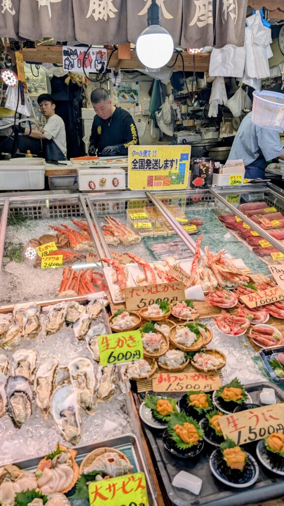 Japan auf 4 Rädern - alleine mit dem Rollstuhl durch Japan pxl 20260504 024409241~2