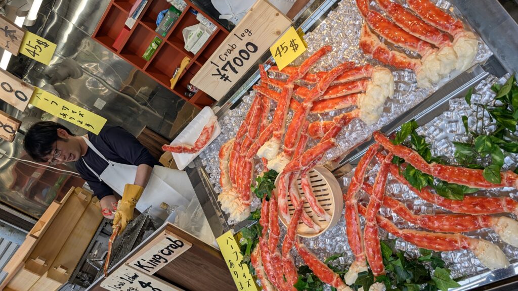 Japan auf 4 Rädern - alleine mit dem Rollstuhl durch Japan pxl 20260504 030153776