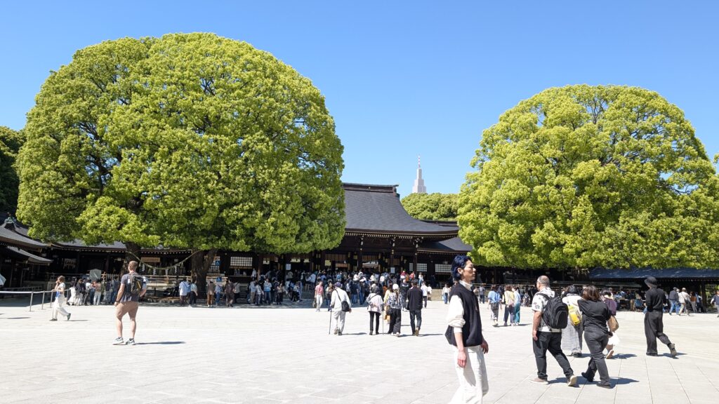 Japan auf 4 Rädern - alleine mit dem Rollstuhl durch Japan pxl 20260505 044806744