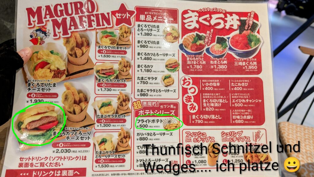 Japan auf 4 Rädern - alleine mit dem Rollstuhl durch Japan pxl 20260506 065053316~3