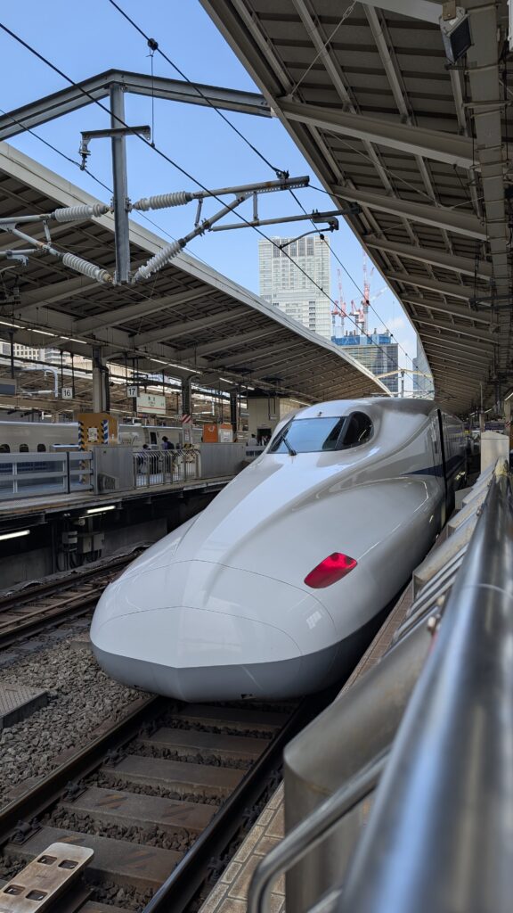 Japan auf 4 Rädern - alleine mit dem Rollstuhl durch Japan pxl 20260507 020355837
