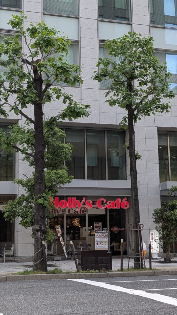Japan auf 4 Rädern - alleine mit dem Rollstuhl durch Japan pxl 20260509 001756022