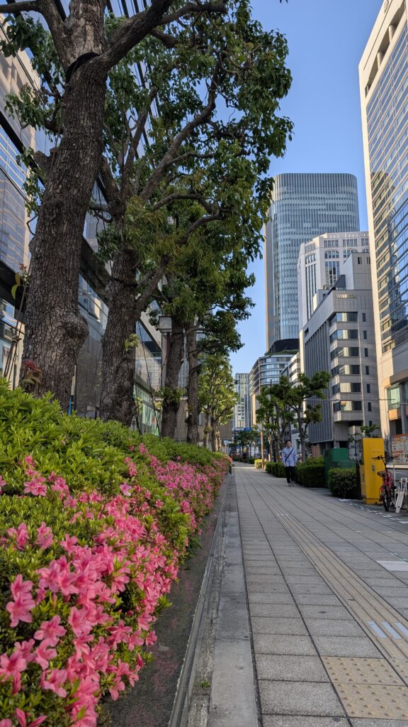 Japan auf 4 Rädern - alleine mit dem Rollstuhl durch Japan pxl 20260510 081815521