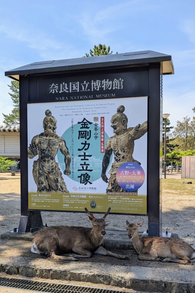 Japan auf 4 Rädern - alleine mit dem Rollstuhl durch Japan pxl 20260511 011300606~2