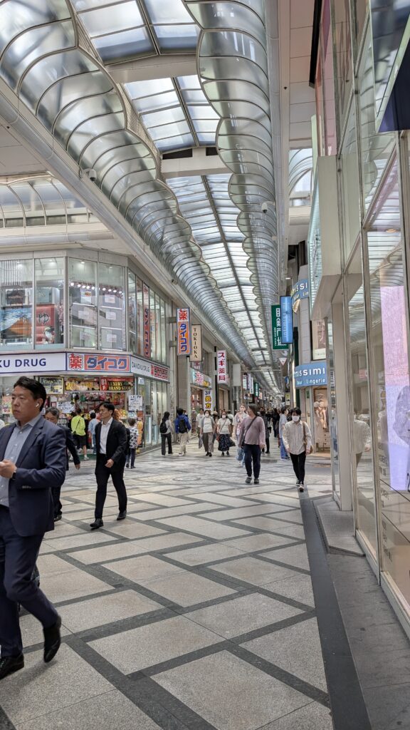 Japan auf 4 Rädern - alleine mit dem Rollstuhl durch Japan pxl 20260512 031752977.mp