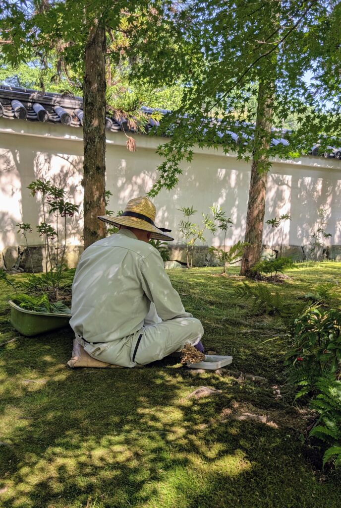 Japan auf 4 Rädern - alleine mit dem Rollstuhl durch Japan pxl 20260515 054141044~2 1