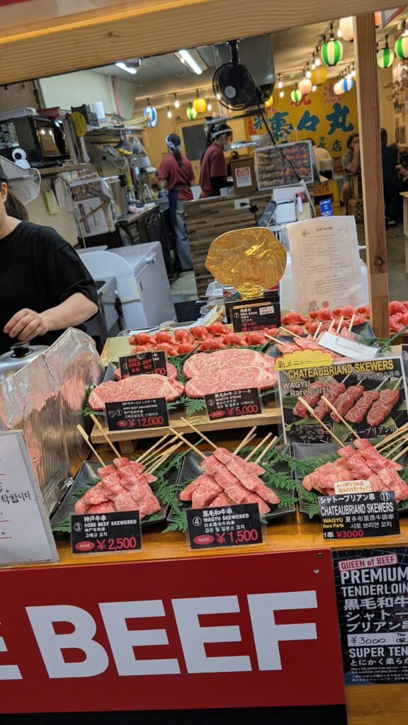 Japan auf 4 Rädern - alleine mit dem Rollstuhl durch Japan pxl 20260516 044905649~2 1