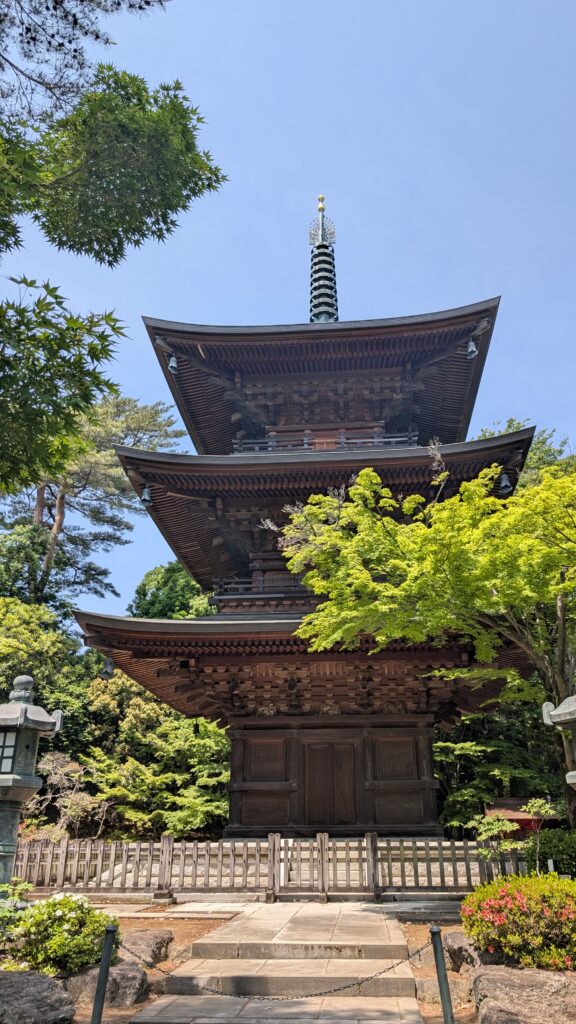 Japan auf 4 Rädern - alleine mit dem Rollstuhl durch Japan pxl 20260520 013958583