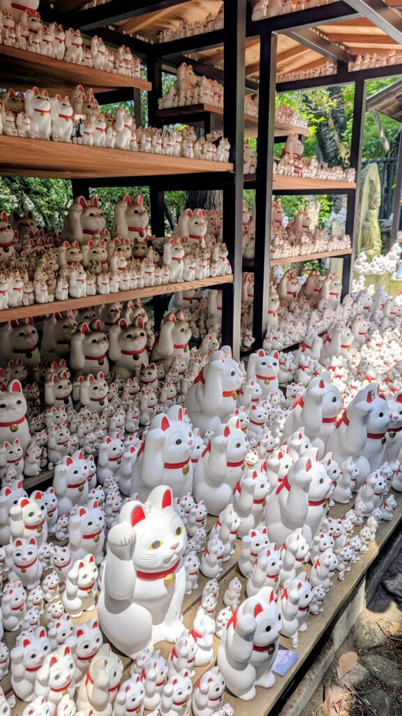 Japan auf 4 Rädern - alleine mit dem Rollstuhl durch Japan pxl 20260520 014309690~2