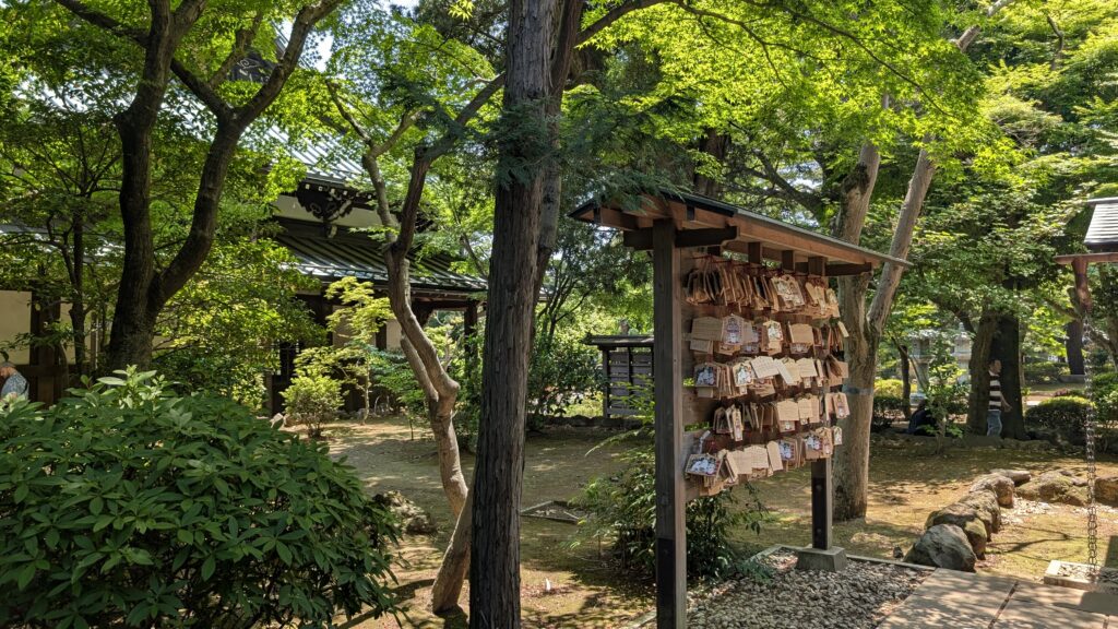 Japan auf 4 Rädern - alleine mit dem Rollstuhl durch Japan pxl 20260520 025406462