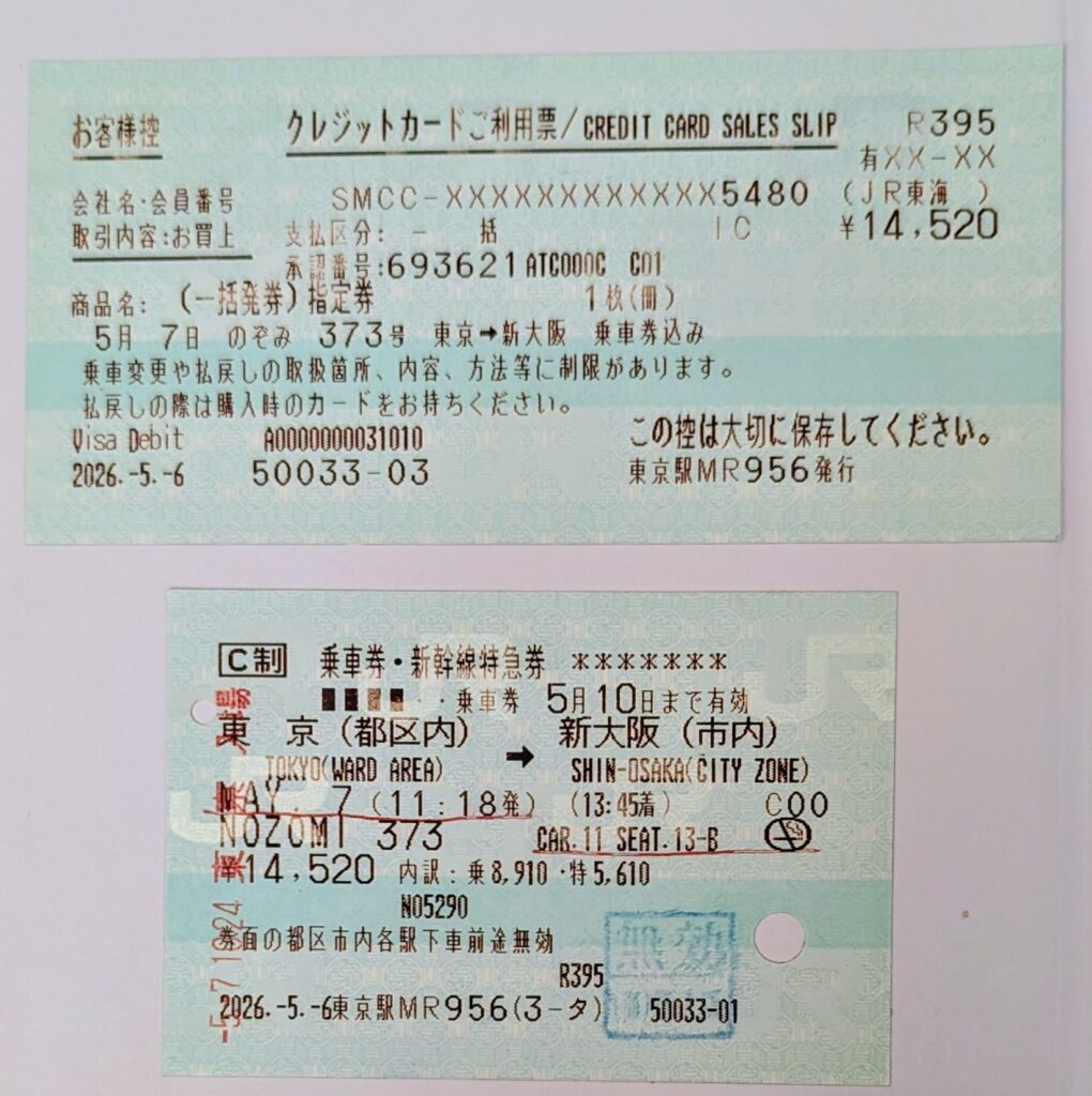 Japan auf 4 Rädern - alleine mit dem Rollstuhl durch Japan pxl 20260724 014248399~2